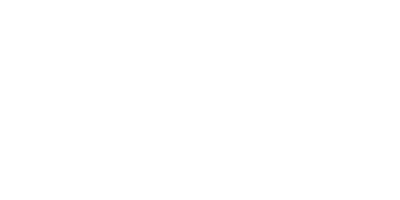 Street Cop Training